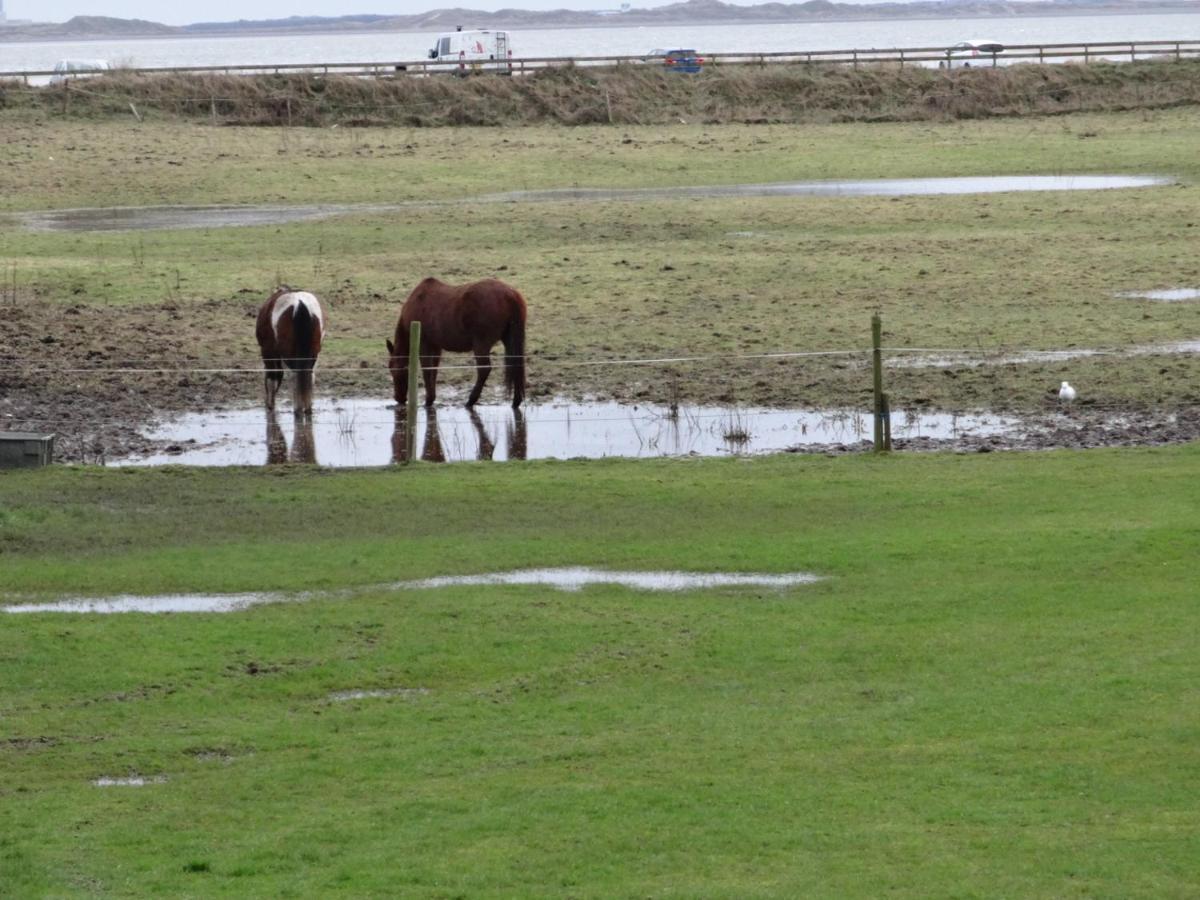 Sea View Cottage Lake District Coast Haverigg Millom Buitenkant foto