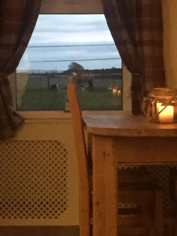 Sea View Cottage Lake District Coast Haverigg Millom Buitenkant foto